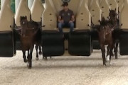 【競馬】ジェットコースターの技術で訓練される若い競走馬たち（イギリス）