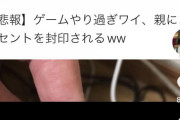 【動画】ニコニコ発の音MAD、TikTokで大流行するwwwwwwwwwwww