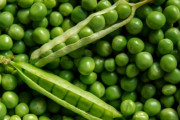 グリーンピース「栄養ないです。食感悪いです。味も個性的です。」