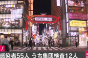 【速報】 東京都で新たに55人が感染・・・きのう50人規模、おととい90人規模の集団検査を感染者の出た飲食店で実施