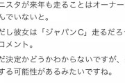 【芦毛の凱旋門賞馬がくるぅぅぅぅぅぅ！】アルピニスタ　次走JCを検討
