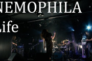 Nemophilaの”Life”という曲を聴いて涙が出てしまった