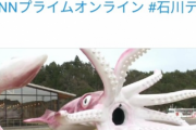【画像】北陸土人さん、コロナ交付金で巨大イカのフィギュアを作って炎上ｗｗｗｗｗｗ