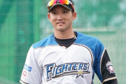 日ハム杉谷拳士に似てる俳優おるよな