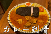【画像】このカレーどう？