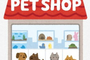 大学辞めてペットショップの店員になりたいんだが