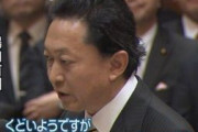 東京新聞「最低でも県外」撤回した鳩山由紀夫を責めるな  [5/7]