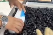 【動画】この奇妙な食材の出荷風景が(((ﾟДﾟ)))
