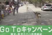 Go Toキャンペーン各地の反応　「トンキンさえ除外すれば歓迎」
