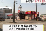 【すき家】みそ汁にネズミ混入でゼンショー株が急落、売り上げに影響の可能性