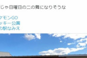 【ポケモンGO】夢の楽園「ラッキー公園」大人たちが遊具に陣取り子供が遊べない…こんな筈では･･