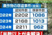 【悲報】去年6500個盗まれた梨農園さん、今年も5000個盗まれて閉園決意！　犯人はたぶんグエン