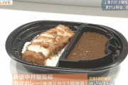 【画像あり】ローソンさん、カツカレーのカツを倍にしてしまうｗｗｗｗｗｗｗｗｗｗ