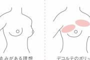 「バスト垂れてきたかも…」30代で約5割　一度垂れた胸は筋トレしても意味がない？