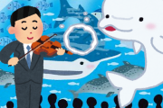 【かわいい】米水族館のシロイルカ、ヴァイオリニストの演奏にうっとり？　