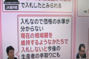 国「備蓄米放出して相場下げるぞ！」JA「ほな現在の相場で入札するで～w」米相場、高止まりへw