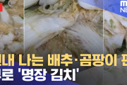 【動画】 韓国の有名キムチ専門企業、実は腐った白菜やカビだらけの大根で作っていたことが発覚し国内騒然