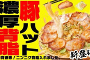 韓国人「日本のラーメン愛が生んだ衝撃の日本の新作ピザが話題沸騰！」→「どんな味がするの？」　韓国の反応