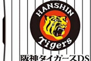 【阪神】「DSソフトの福袋買ったで！５本300円で中身は…」