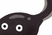 オタマジャクシ食べたら1万円←やる？