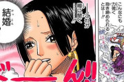 ワンピースのボア・ハンコック(31)「ルフィ(19)と結婚したい」←これ