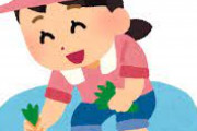 【動画】女の子さん、田植えでじいじを道連れにするｗｗｗｗｗ
