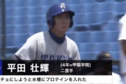 東大生「もしかして水槽の水にプロテイン溶かしたら金魚めっちゃマッチョになるんちゃうか・・・」