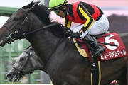 【競馬】有馬はマイルだった…！？ 2025年有馬記念は「ミュージアムマイル」が優勝！！