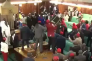 【アフリカ】ウガンダ議会で激しい乱闘　　外国人「乱闘というより、下手なダンスをしているように見える」「なのに、猿と比べたら怒るんですよ・・・」