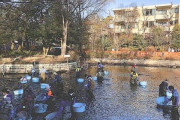 【石神井池】「かいぼり」で捕獲した生物の７割がブルーギルなど外来種