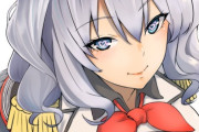 【艦これ】鹿島に(この人も私モデルの同人誌で抜いてるんだ)って目で見られたい