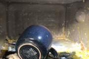 【悲報】一人暮らしワイ、レンジを大爆発させてしまう…