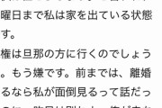 「『子どもは旦那さんに任せましょう』と警察から言われたと…」車椅子インフルエンサー・鈴木沙月容疑者の知人が明かした「犯行前日のSOS」とは《親権めぐり0歳児刺殺》