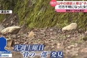 【動画】山梨行方不明女児のお母さん、様子がおかしい