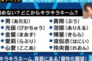 ひろゆき「泡姫(アリエル)って名前の人が面接に来たら落とすよね？そういうこと」