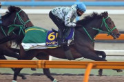 初年度産駒がデビューする種牡馬