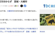 【宮城】熊、民家で飼われていた犬をくわえて持ち去ってしまう