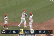 【定期】広島デビッドソン、巨人戦でホームラン