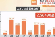 【緊急】食料品の値上げ､年末にかけて最大1万品目近く増える