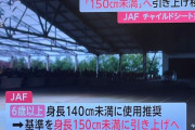 【悲報】150cm未満の人間、チャイルドシート着用へ
