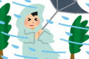 【悲報】NHK「外国人に台風の注意せなアカン…せや！」