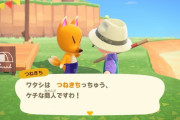 どうぶつの森につねきち来たけど本物かわかんない