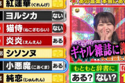櫻坂46の小悪魔こと原田葵、ギャル雑誌に謝罪【ミラクル9】