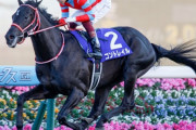 【競馬】福永祐一「歴代の騎乗馬のいいところを合体させて最強のサラブレッドを作るぞ」