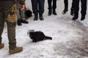 【朗報】ウクライナ国軍さん　ネコチャンの顔にモザイクをかける配慮