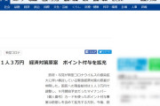 【がっかりしたので財布の紐を締めるのだったｗ】現金給付 １人３万円　経済対策原案判明