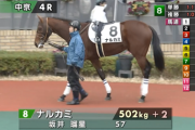 【月曜中京4R】ナルカミ出走
