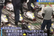 【令和初の初競り】青森県大間産の本マグロが過去2番目の1億9320万円で落札（すしざんまいが競り落とす）