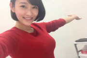 【悲報】元トップ女優の西野翔さん(35)、クソババアになる