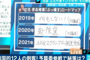 【悲報】N国立花、最早どこに向かっているのか分からない